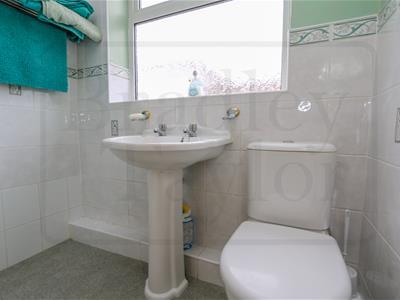Picture 22